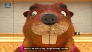 What are flexibility services? Be more beaver - from Energy Networks Association