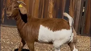 0949