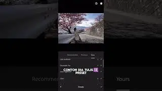 Tutorial Import Presets Lightroom Mobile dari ZIP file