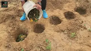 Do This Before Spring Starts and Your Garden Will Explode With Growth