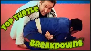 Turtle Position Breakdowns