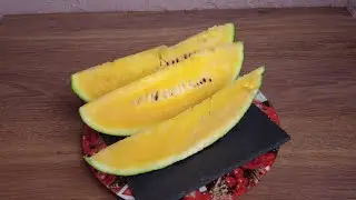 Оранжевый Арбуз (Orange watermelon)