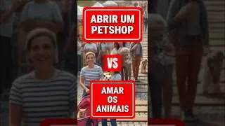 ABRIR UM PET SHOP X AMAR ANIMAIS  #banhoetosa #tosador #groomer #abrirumpetshop #montapet #petshop