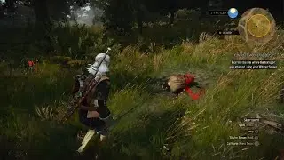 The Witcher 3: Wild Hunt - Complete Edition Lets Play episode 8