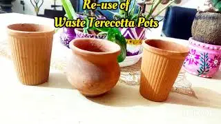 Terracotta ke Kulhadd Me Gardening&bull;Chai ki Bharuki Ka Istemaal&bull;Reuse Of Waste&bull;@Shiteeknolwdgekingdom
