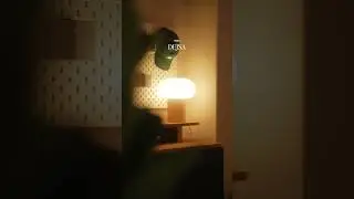My Lamp Collection 💡