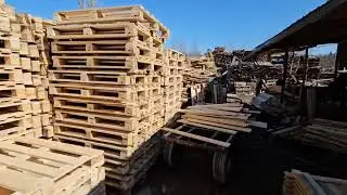 Поддоны в Ташкенте