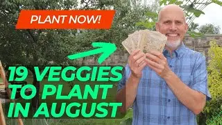 19 Vegetables You Can Plant in August for Fall and Winter Harvest