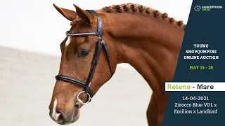Relena - Young Showjumpers Online Auction - Paardenveilingonline.com