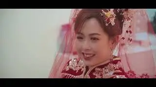 15 11 2024 WEDDING VIDEO #youtubeshorts