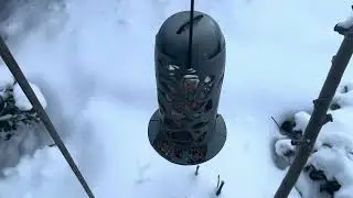Alle voerbakken schoon gemaakt met water en lucht.