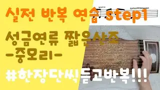 [실전 반복 연습 step1] 성금연류 짧은산조 - 중모리 - #한장단씩듣고따라하기 #중모리반복연습 by 서은주