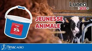 LUNEO POP U : Votre solution croissance
