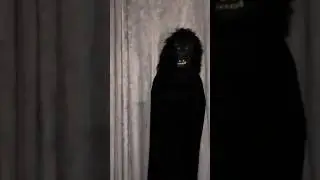sister ko Dara diya prank on sister full video uploaded on channel #shorts #tiktok