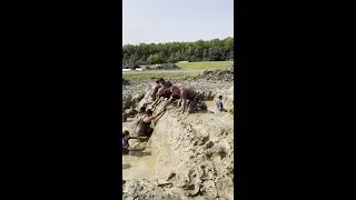 Mud Mile