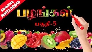 பழங்களின் பெயர்கள் Fruits Name In Tamil With Pictures Drawing White Board Animate Hand Skatch part-5