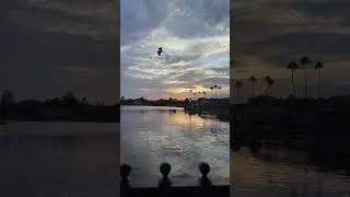 🌐 EPCOT Mexico Pavilion Sunset &ndash; Calm 23‑Minute Evening with Passing Boat & Ducks