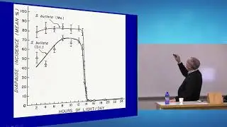 ECSS: Dr. David Denlinger - 