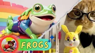 Fun EXPLAINED For kids 🐸: Life cycle of a Frog | Toddler learning video #Frogs