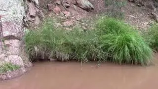 Retired Renegade Adventures Ep. 40 Hunting for Rain & a Hike on Bearflat Trailhead AZ!