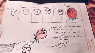 Easy way to draw a beautiful rose 🌹 video 😍 #pencil drawing # colour pen drawing # pen drawing #