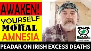 The Elephant has Become the Room &ndash; Irish Excess Deaths