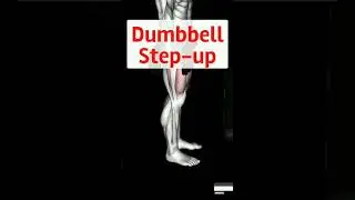 Dumbbell Step-Up