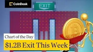 Bitcoin ETFs See Largest Weekly Outflow Since November