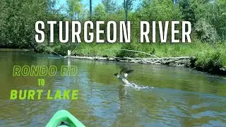 Sturgeon River Kayak Adventure to Burt Lake | Wolverine, MI