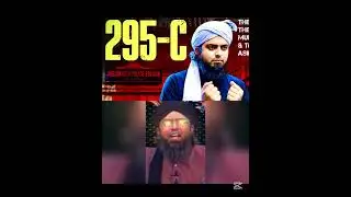 Engineer Mohammad Ali Mirza 295-c case facts: