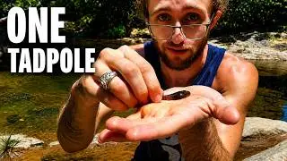 Wildlife Biologist: The Best Day of My Career Looks Insane to Everyone Else | Real Truth About Jobs
