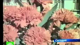 08 10 10 petr demichev ntv
