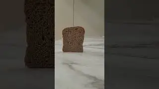 There is nothing behind the bread #breadfalling #capybara #viralshorts