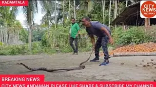 Andaman mein king Size king Cobra ka khauf, Subrato Mondal aur team ne kiya daring rescue