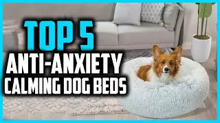 ✅Top 5 Best Anti Anxiety And Calming Dog Beds of 2025