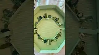 Unboxing My Swarovski Present All The Way From Netherlands 🤩💚/#shorts #swarovski 💚