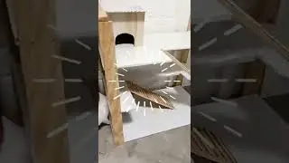 House for whose/Easy and fast