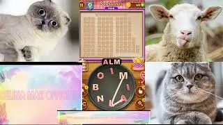 {Word Cookies} Wizard - Sagebrush levels - level 1 to 20 (celina mak official)