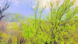 Beautiful view  Dir Darora 