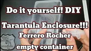 Arboreal Enclosure DIY (ferrero rocher chocolate container)#bigspider #tarantulas #thinktarantulastv