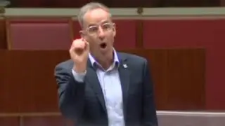 &lsquo;Does not stop being funny&rsquo;: Greens senator mocked for climate meltdown