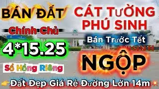 Bán Đất Cát Tường Phú Sinh Đất Mặt Tiền Đường Lớn Gần Công Viên Khủng Long Và Trường Học Cấp 2 Và 3
