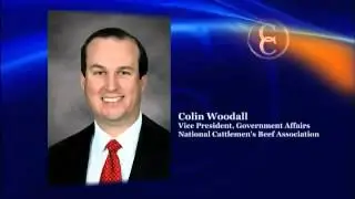 Ethanol Mandates