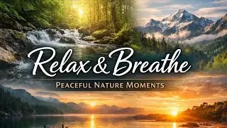 Relax & Breathe 🌿 Peaceful Nature Moments Around the World | Calming Travel Video