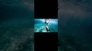 underwater photography #philippines #freediving #snorkeling