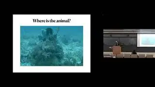 Search for common principles for efficient representation in both neural coding and AI | Siwei Wang