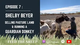 Ep. 7 - Shelby Beyer | Direct to Consumer Sales with Pasture Raised Lamb & Running a Guardian Donkey