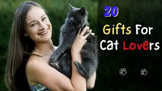 These Cat Gifts Will Please Any Cat Lover