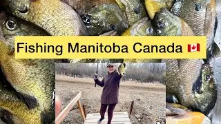 I Found This LOADED Fishing Spot - Canada Spring Fishing 2024