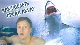 Краткий обзор бестселлера 